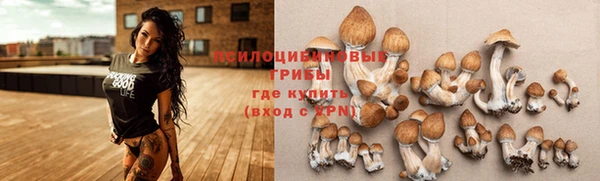 мяу мяу кристалл Аркадак
