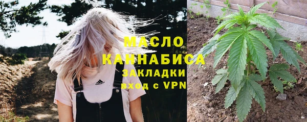 твердый Арсеньев