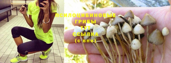 мяу мяу кристалл Аркадак