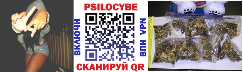 Псилоцибиновые грибы Psilocybe  Курильск 